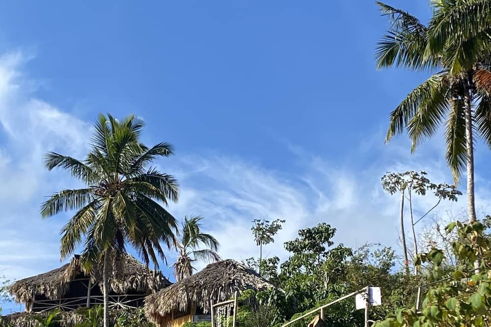Photo of Others in El Limon