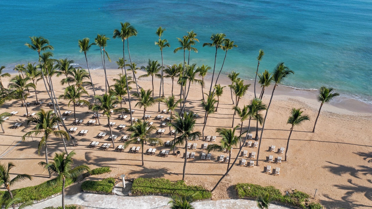 Photo of Others in Punta Cana