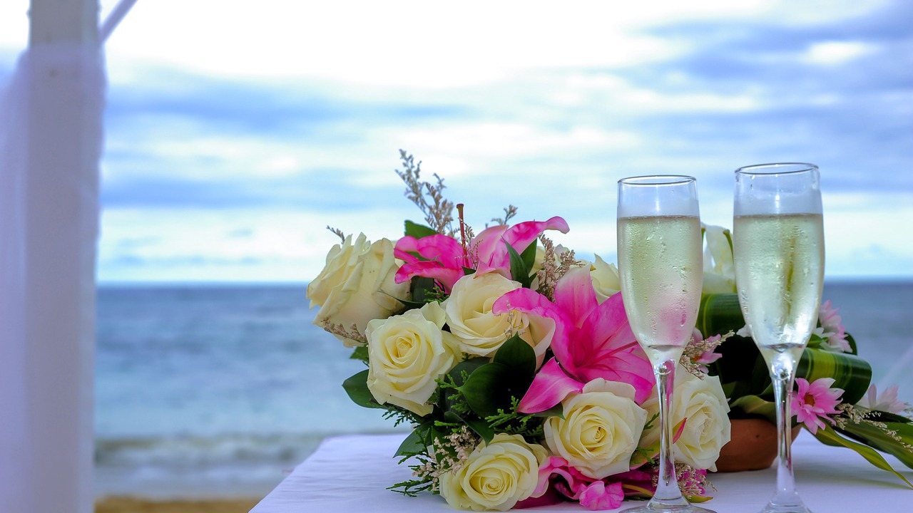 Photo of Outdoor in Punta Cana
