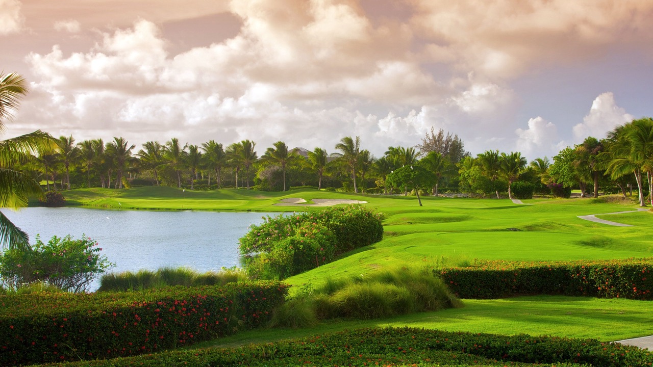 Photo of Others in Bavaro