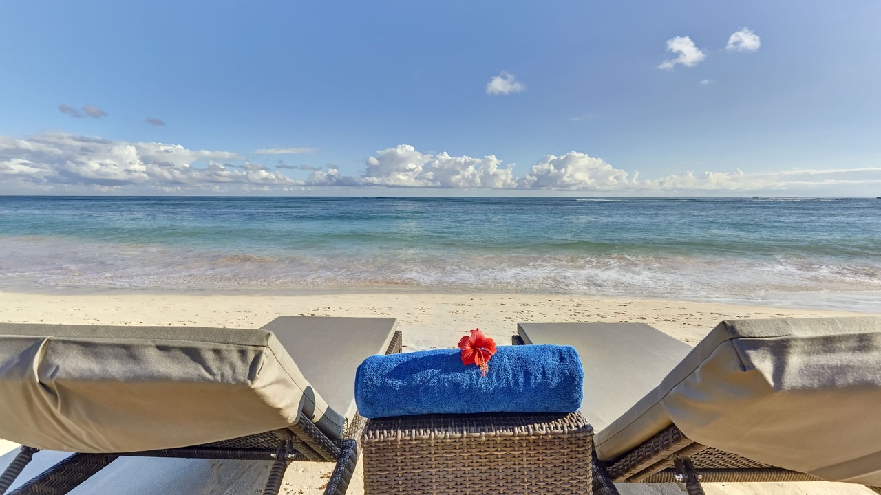 Photo of Others in Bavaro