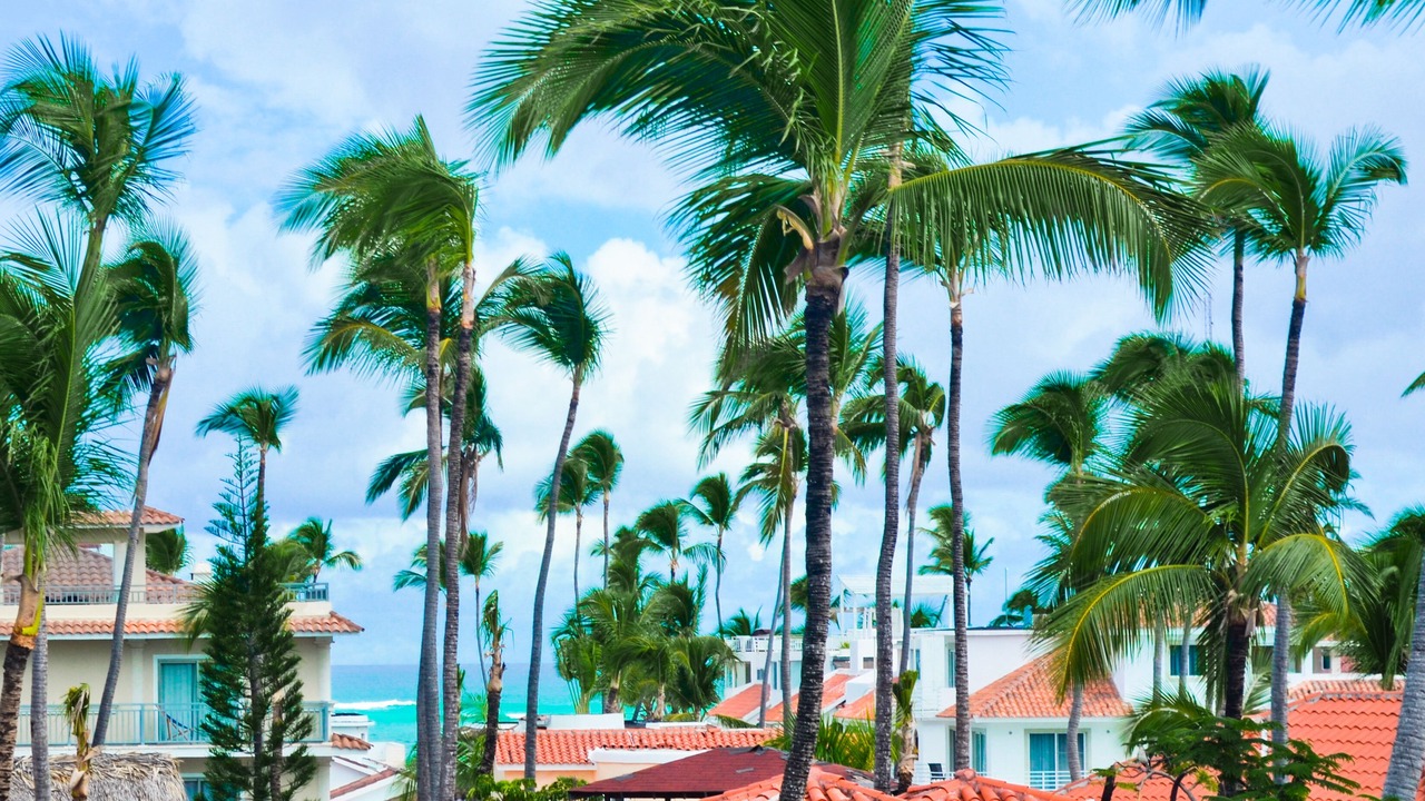 Photo of Others in Bavaro