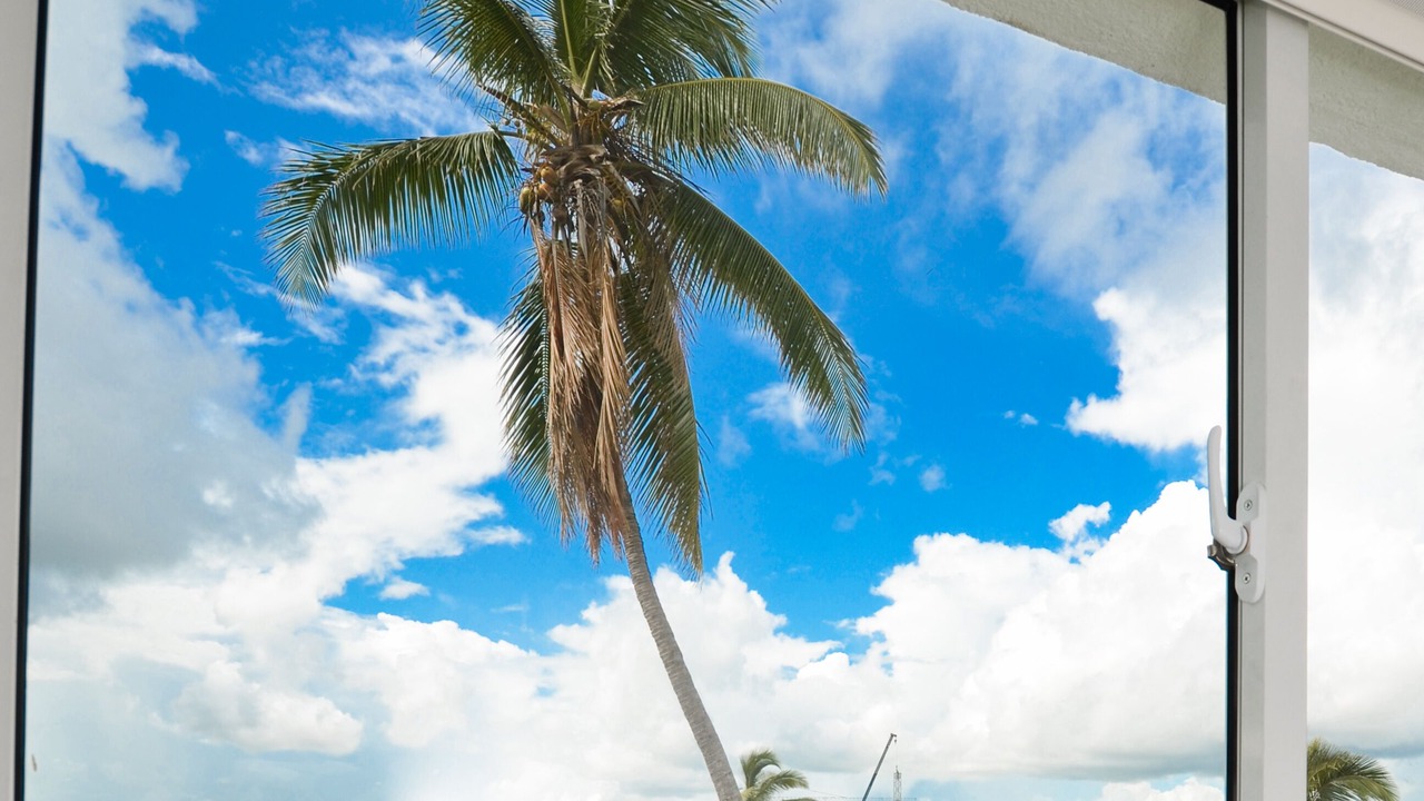 Photo of Others in Bavaro