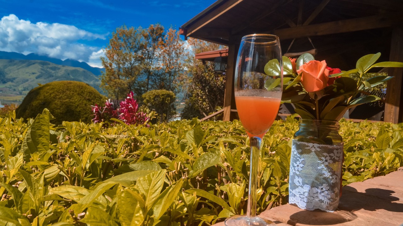 Photo of Outdoor in Constanza