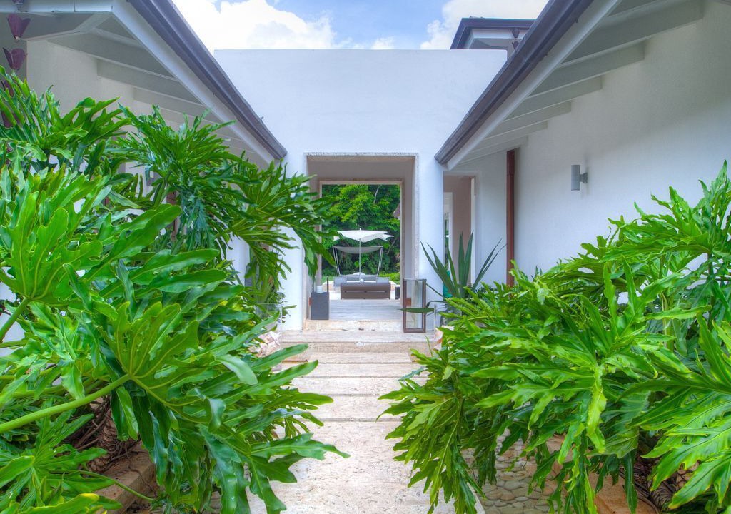 Photo of Outdoor in Los Lagos