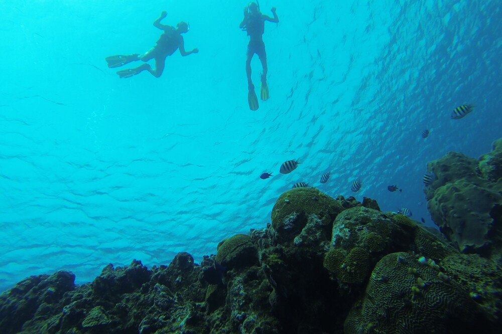 Photo of Others in La Esplanada