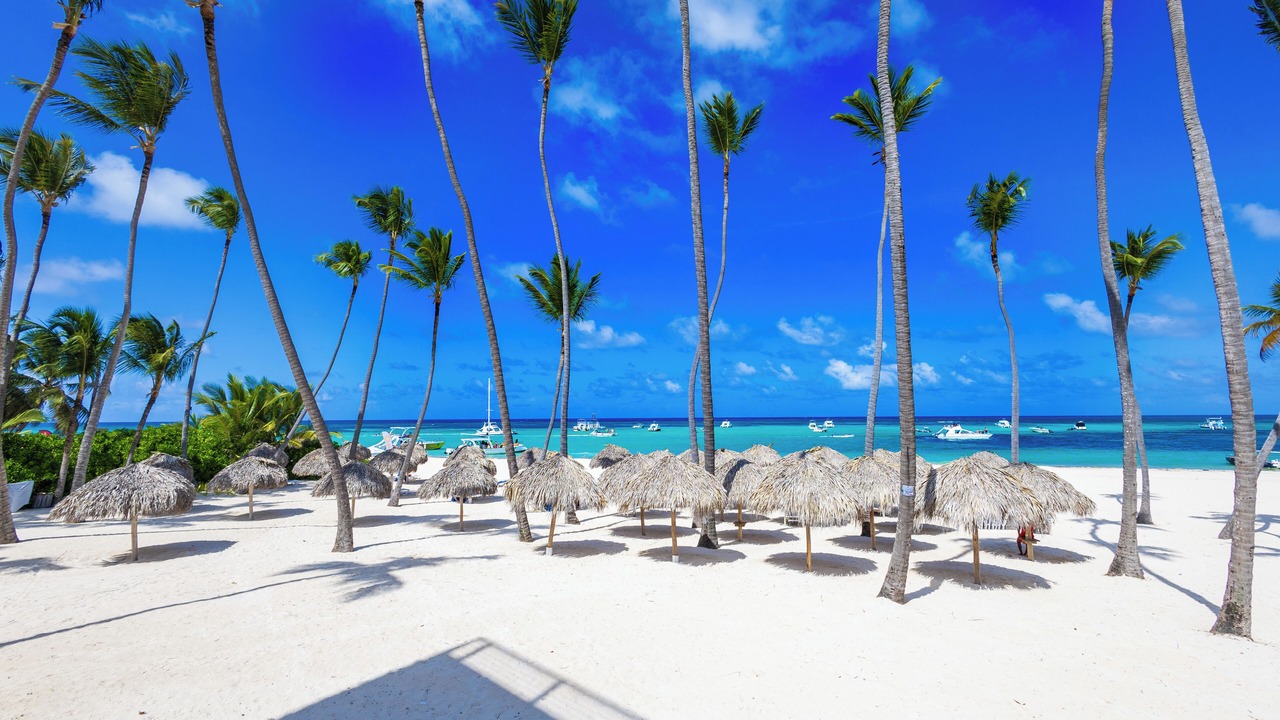Photo of Others in Bavaro