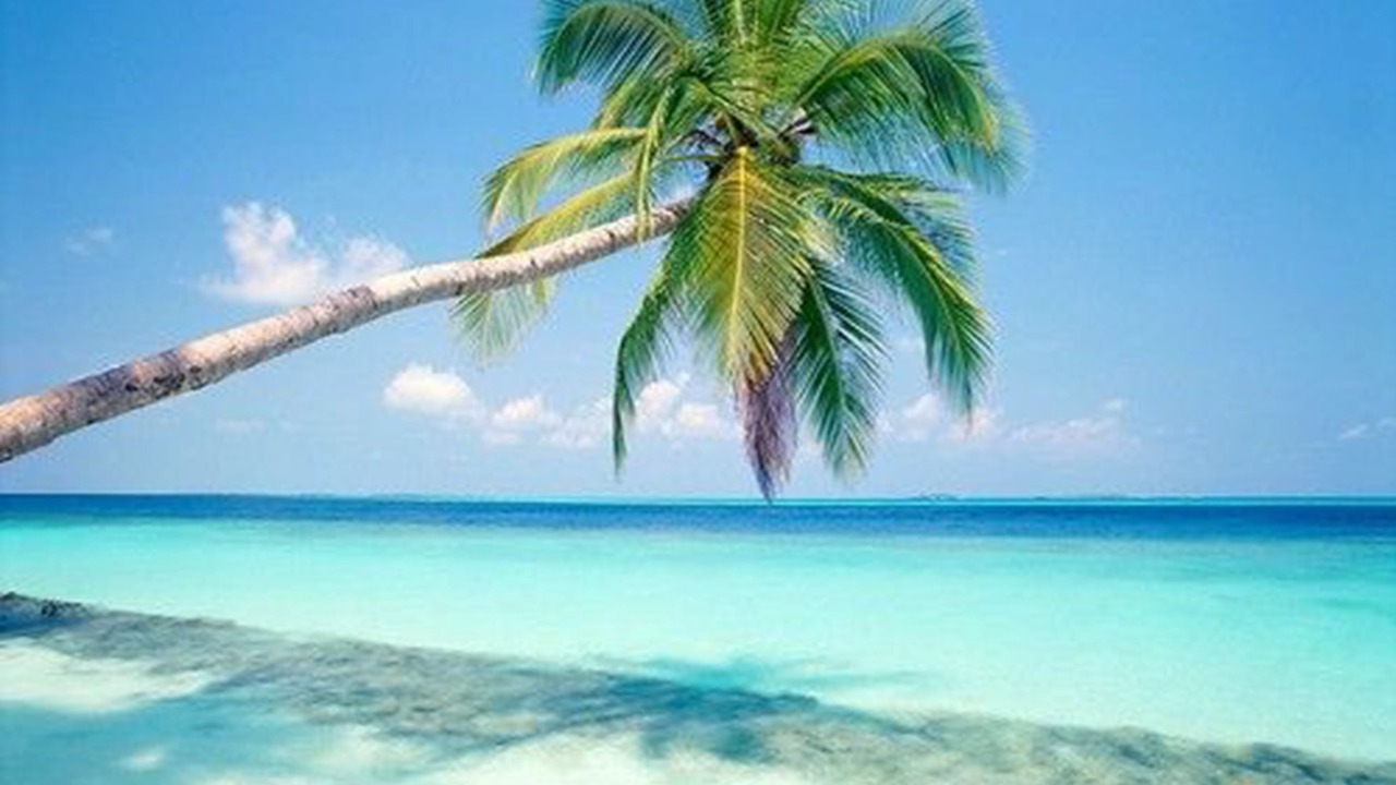Photo of Others in Bavaro