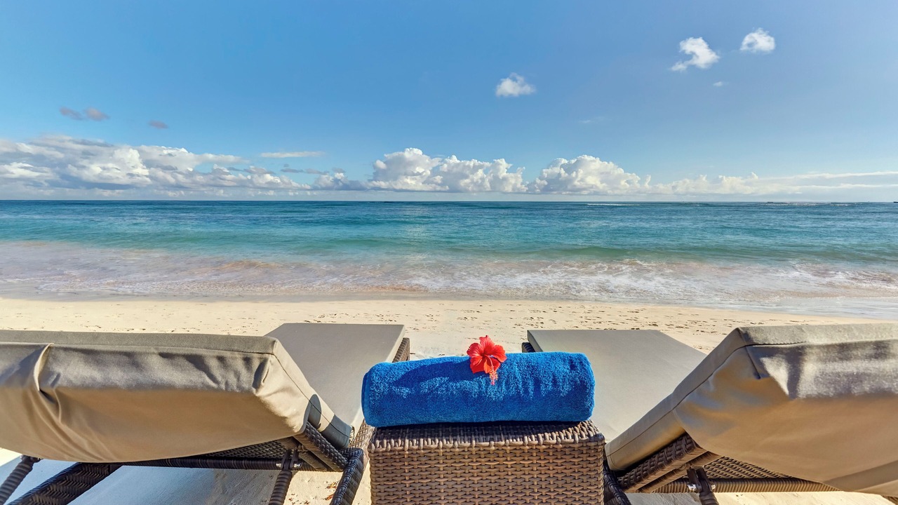 Photo of Others in Bavaro