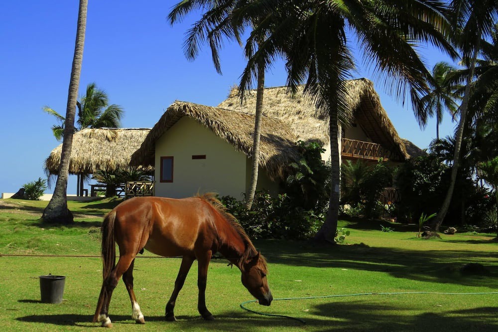 Photo of Outdoor in Samana