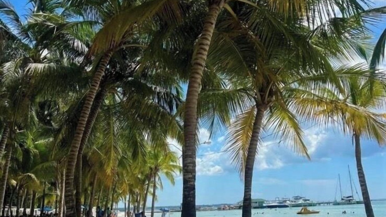 Photo of Outdoor in Boca Chica