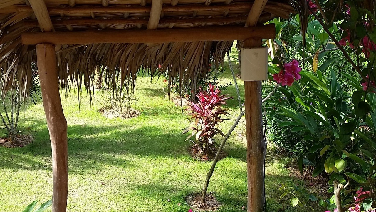 Photo of Patio Balcony in Las Terrenas
