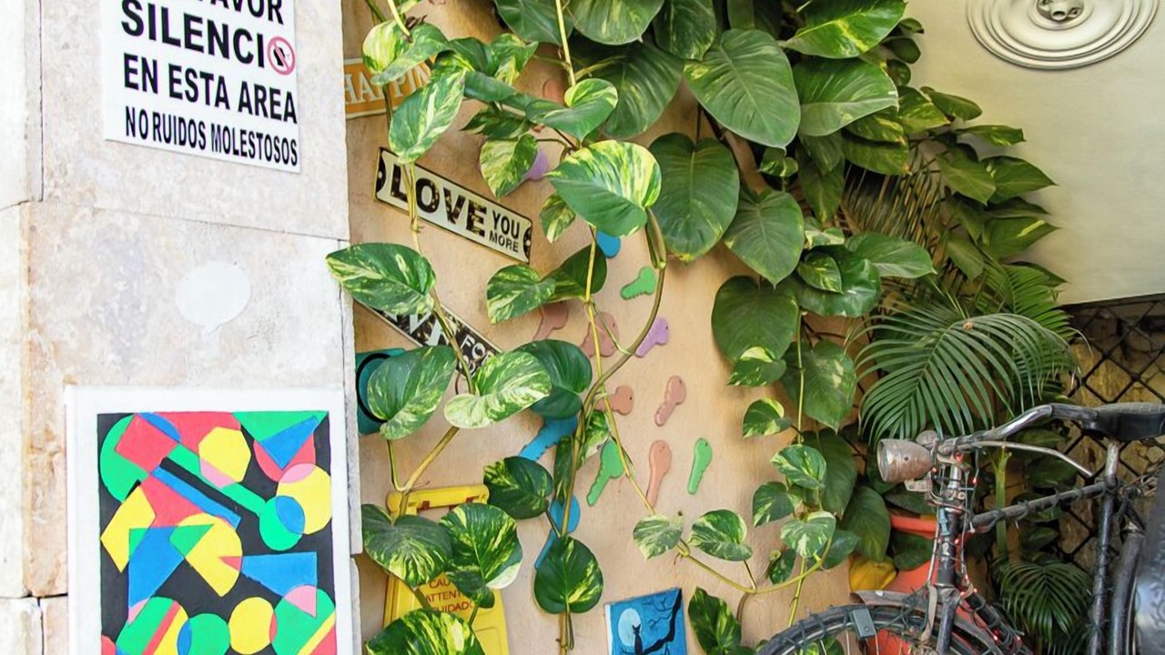 Photo of Outdoor in San Pedro de Macoris