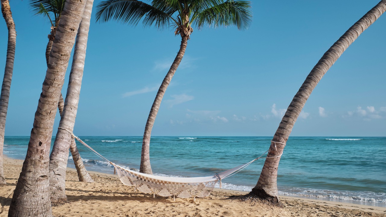 Photo of Others in Punta Cana
