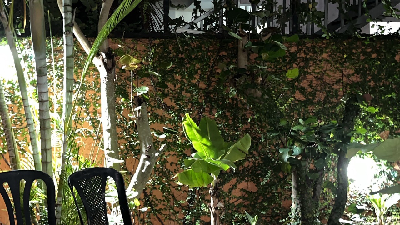 Photo of Outdoor in Punta Cana