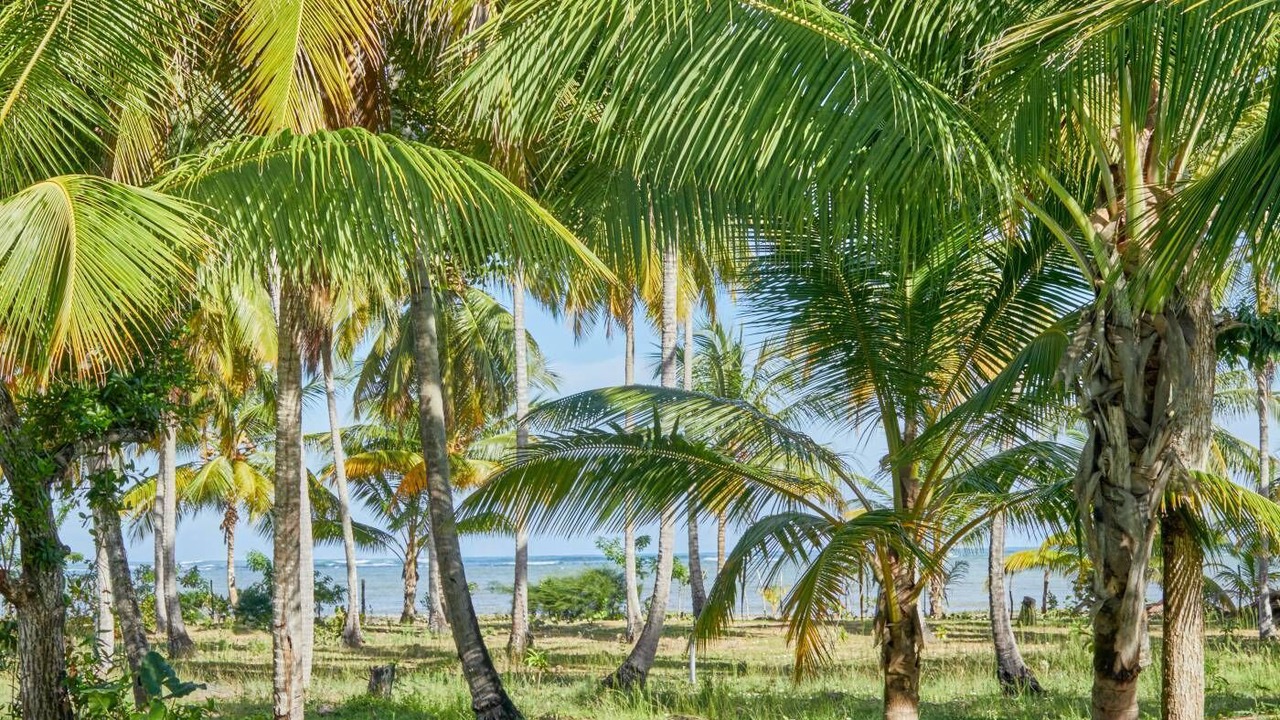 Photo of Outdoor in El Limon