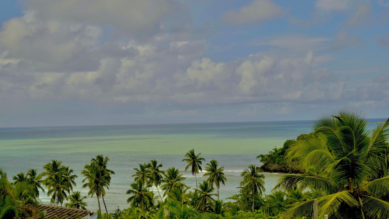 Photo of Others in Las Terrenas