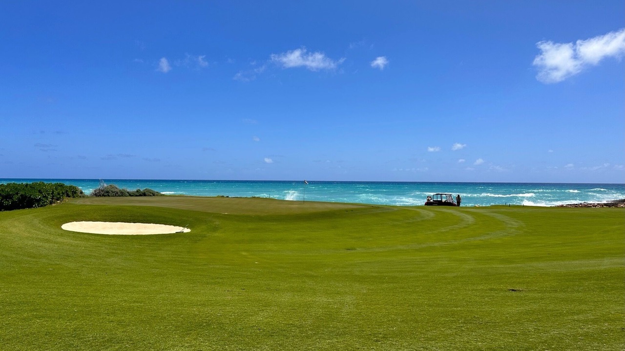Photo of Others in Punta Cana
