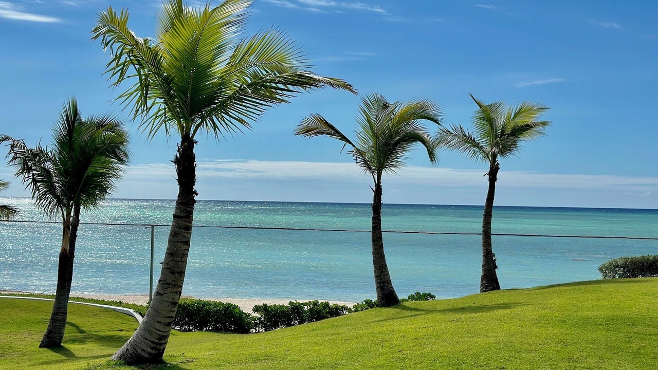 Photo of Others in Punta Cana