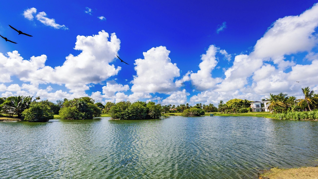 Photo of Outdoor in Bavaro