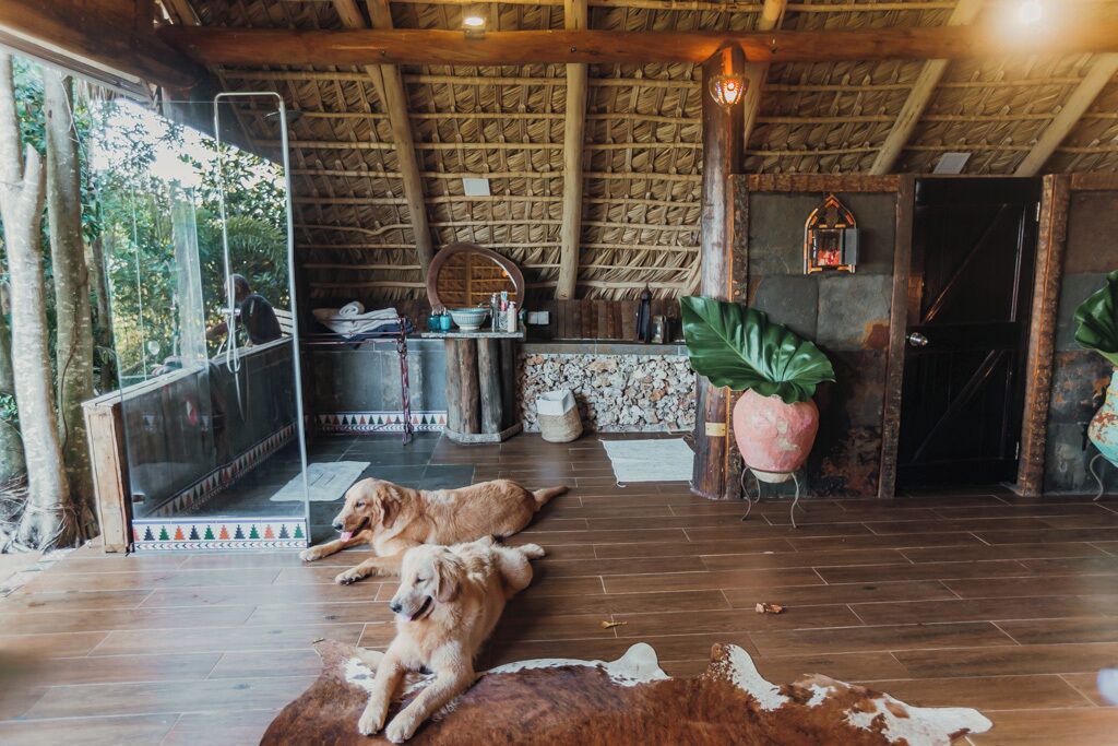 Photo of Bedroom in Las Galeras