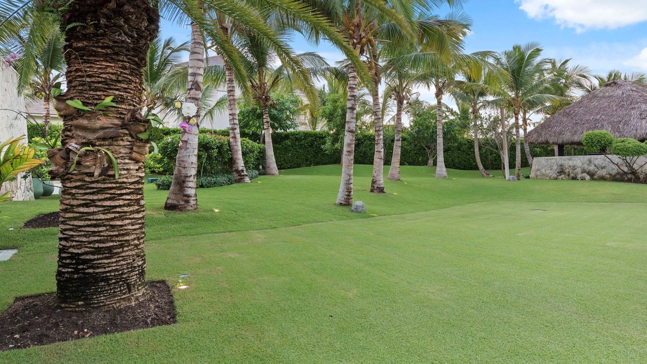 Photo of Others in Bavaro