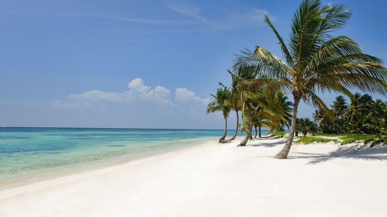 Photo of Others in Punta Cana