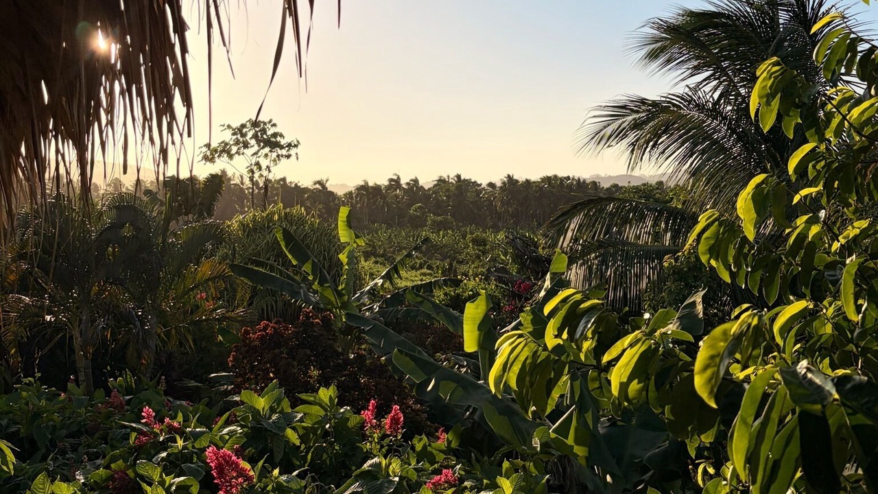 Photo of Outdoor in El Limon