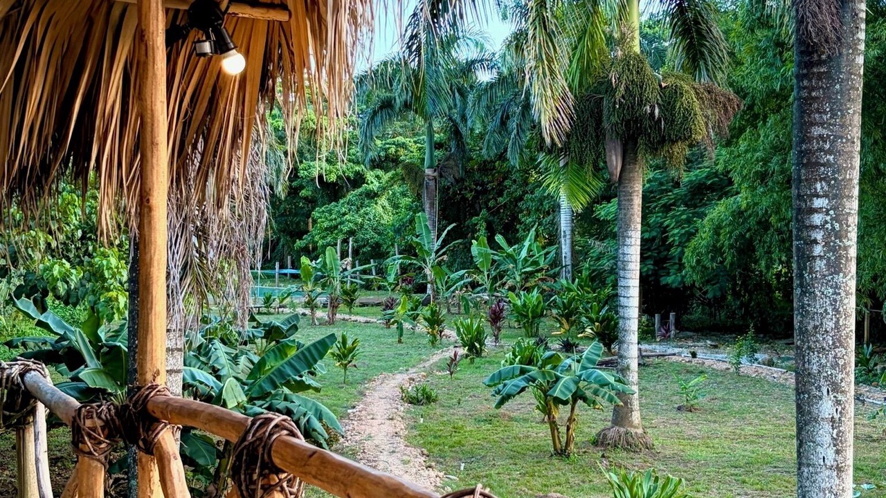 Photo of Patio Balcony in El Limon