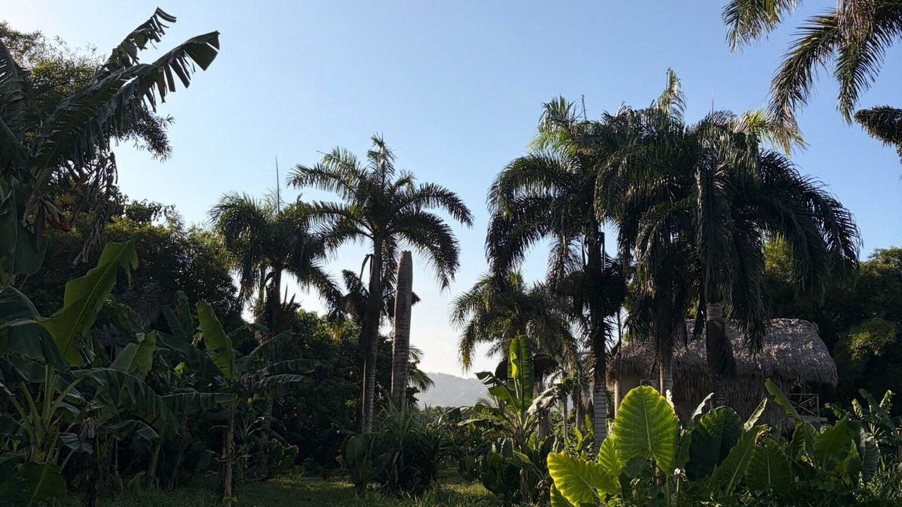 Photo of Outdoor in El Limon