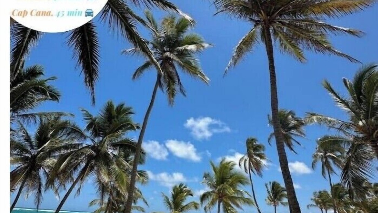 Photo of Others in Bavaro