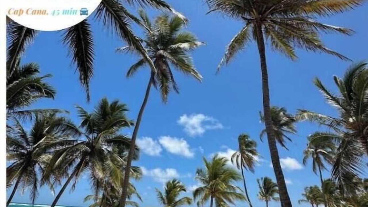 Photo of Others in Bavaro