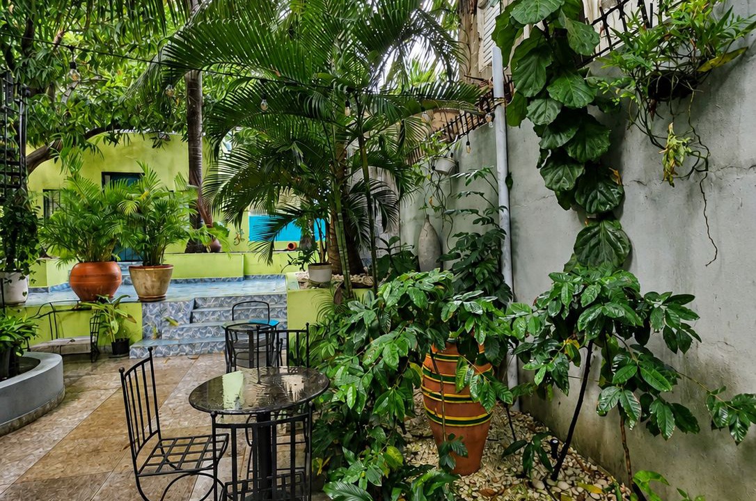 Photo of Outdoor in La Primavera