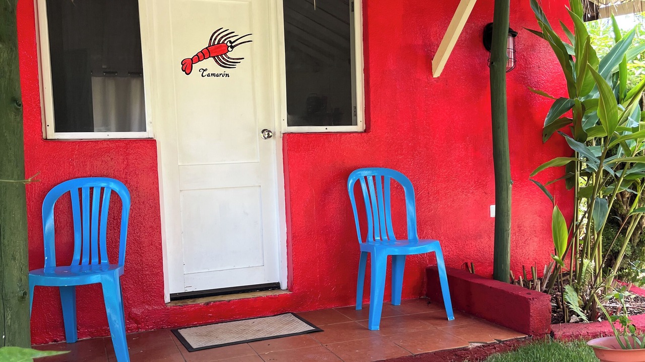 Photo of Outdoor in Las Galeras