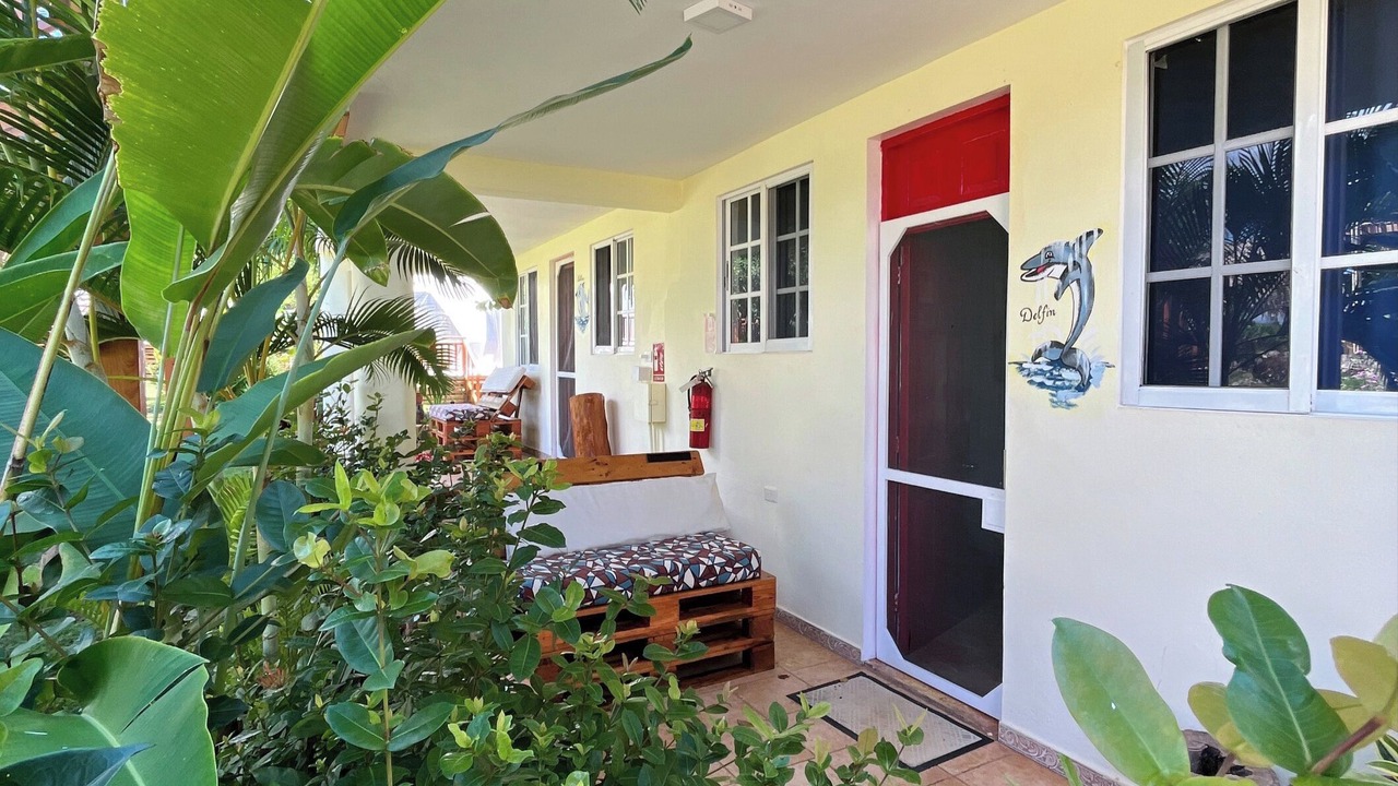 Photo of Outdoor in Las Galeras