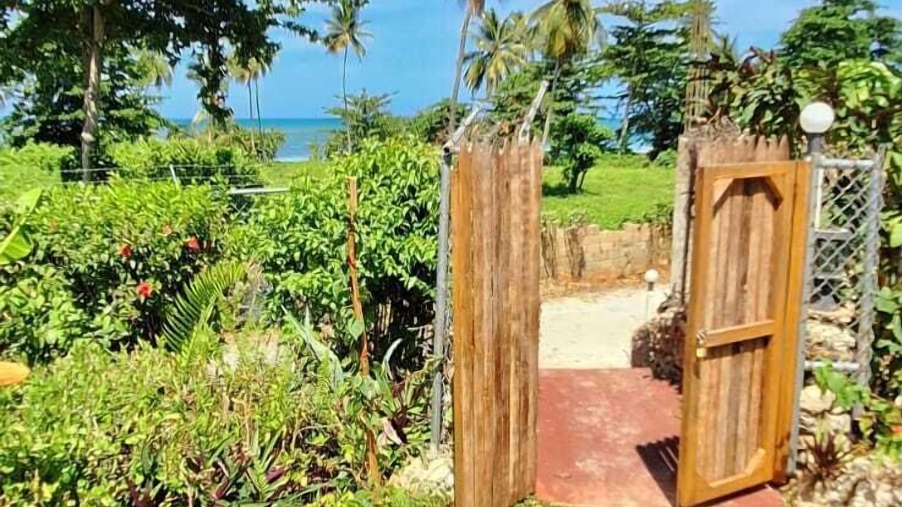 Photo of Outdoor in Las Galeras