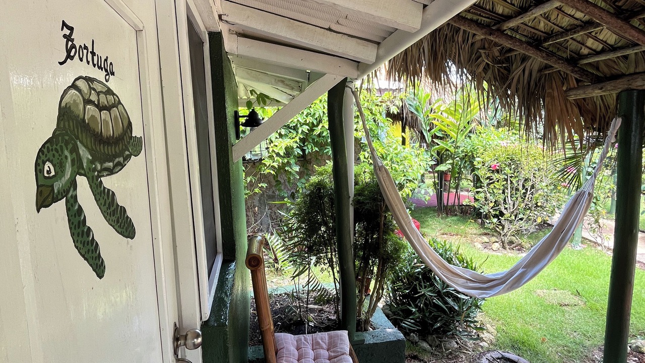 Photo of Outdoor in Las Galeras