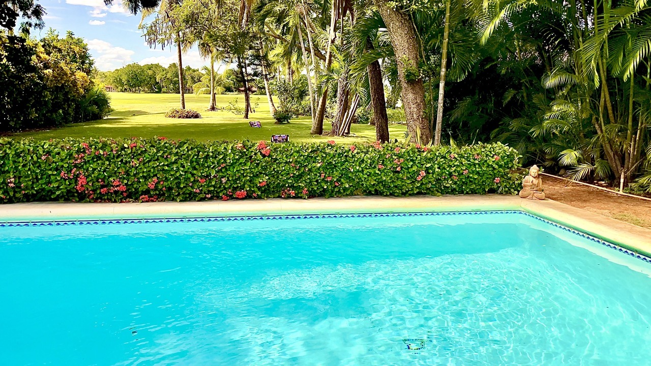 Photo of Outdoor in Los Lagos