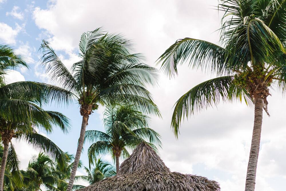 Photo of Others in Dominicus