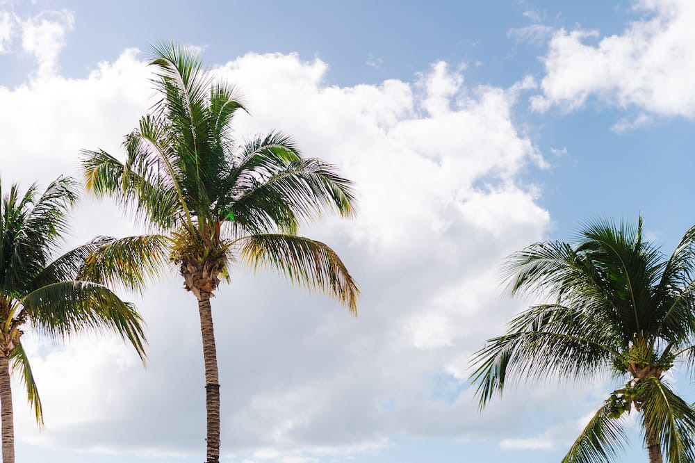 Photo of Outdoor in Dominicus