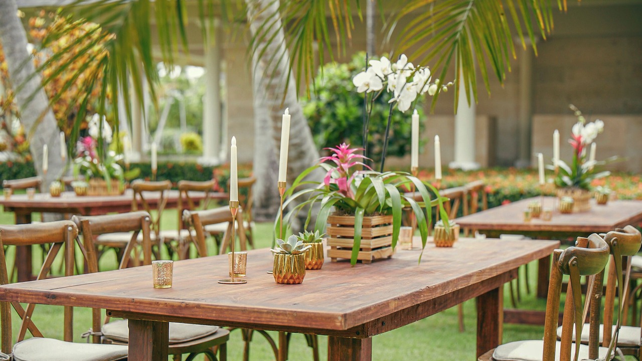 Photo of Outdoor in Bavaro