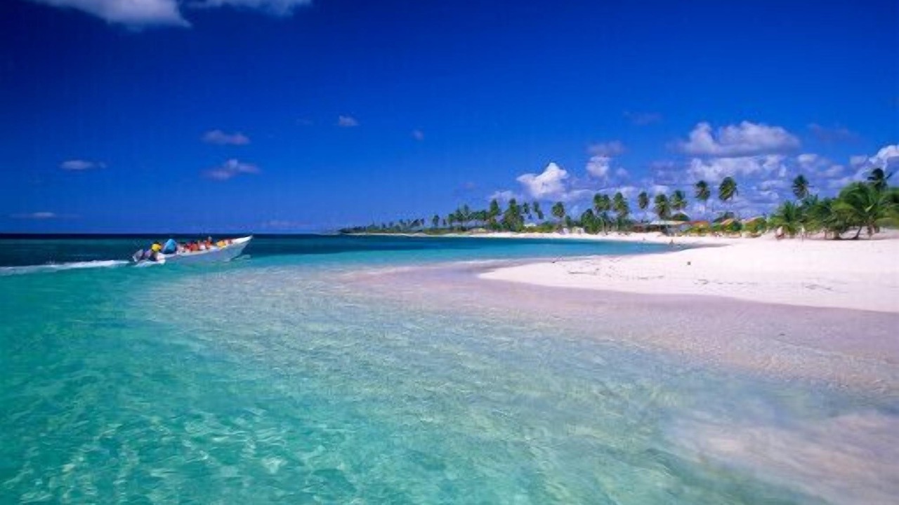 Photo of Others in Bavaro