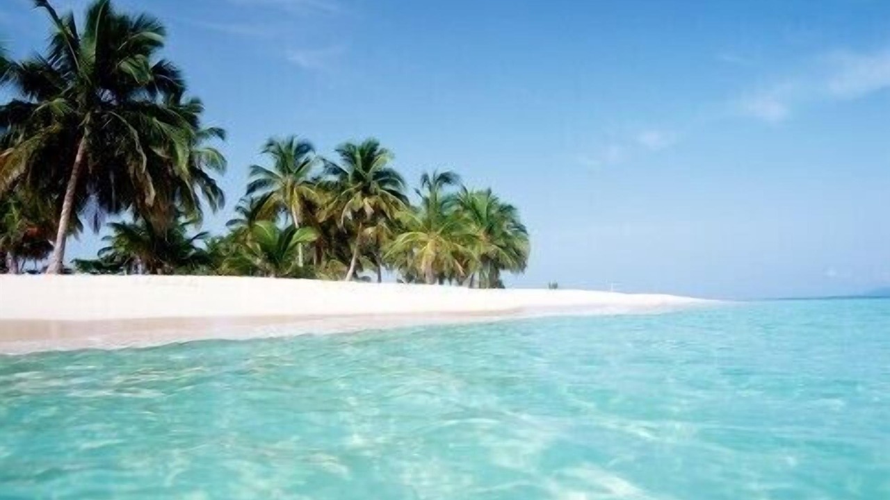 Photo of Others in Bavaro