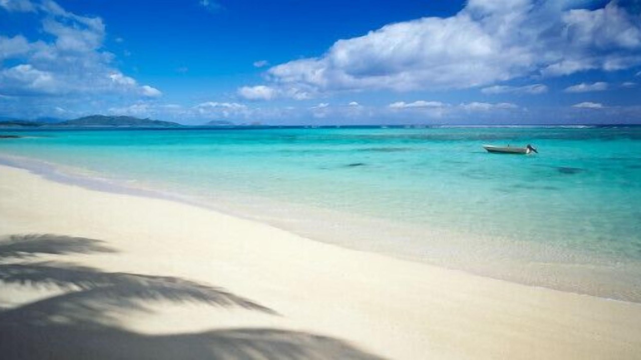 Photo of Others in Bavaro