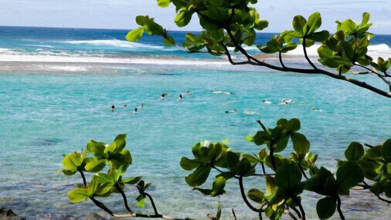 Photo of Others in Bavaro