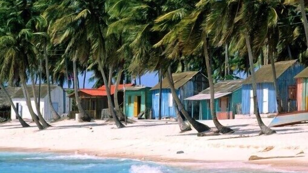 Photo of Others in Bavaro