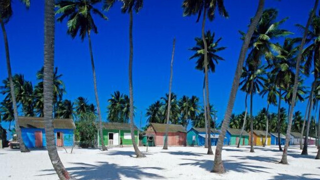 Photo of Others in Bavaro