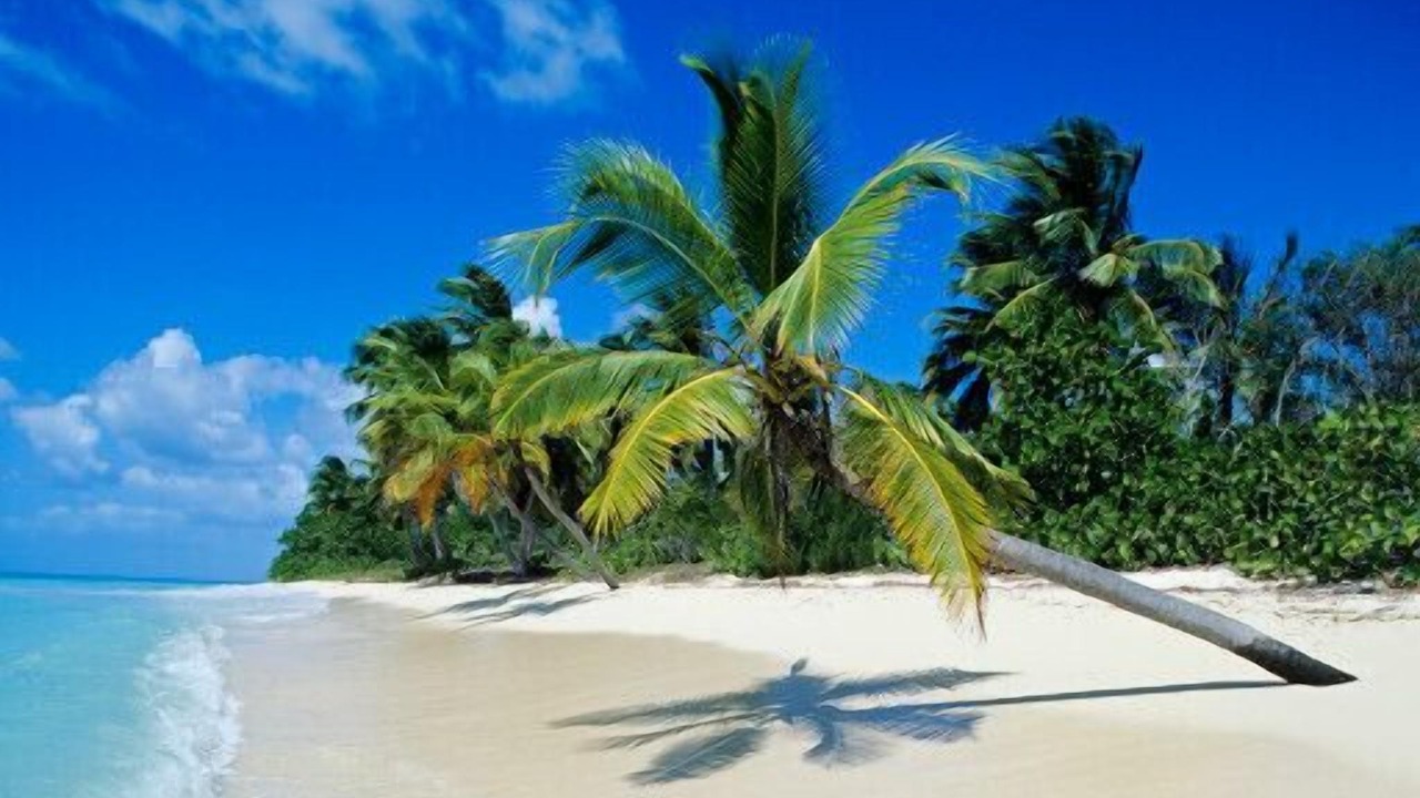Photo of Others in Bavaro