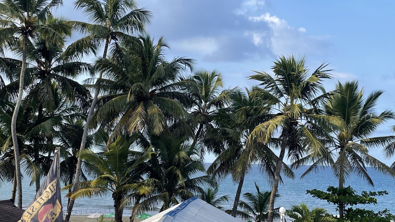 Photo of Others in Cabarete