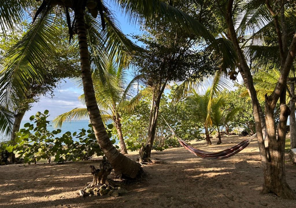 Photo of Others in Bayahibe